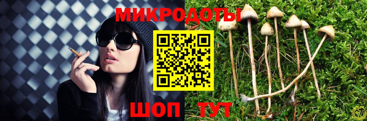 Псилоцибиновые грибы Psilocybine cubensis Иркутск