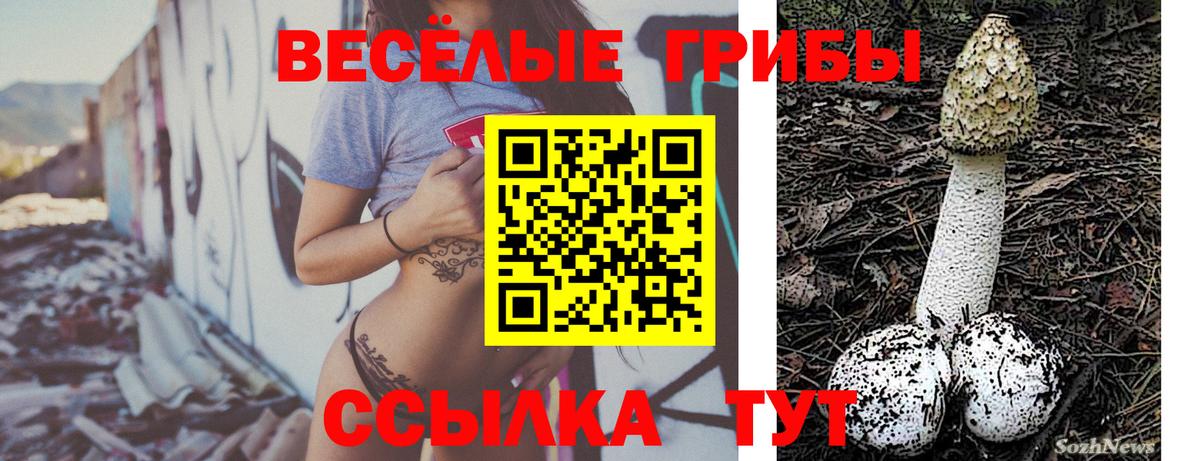 Псилоцибиновые грибы Psilocybe  Вход с VPN  Иркутск  Галлюциногенные грибы прущие грибы 